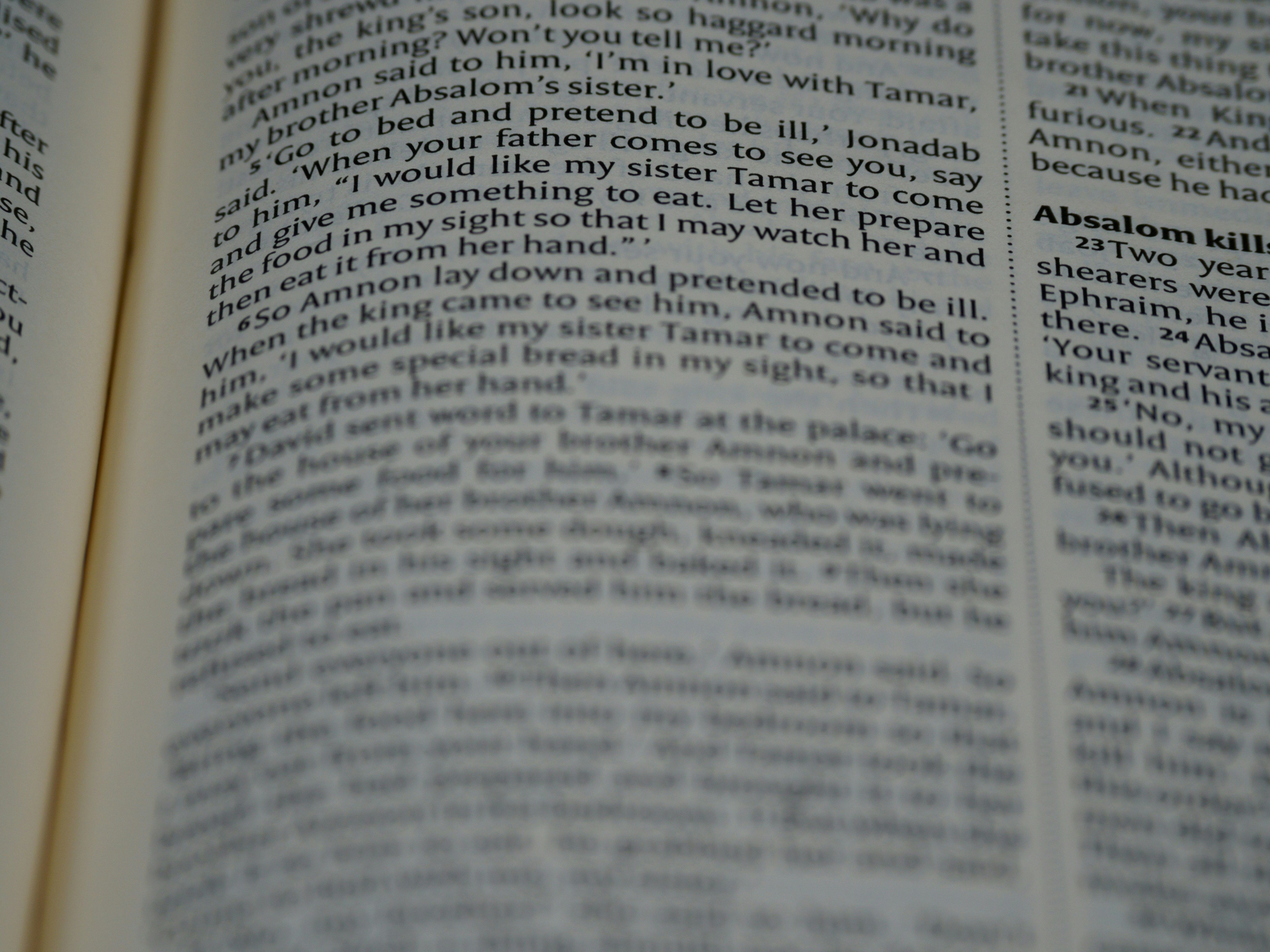 close up, bokeh, macro, blur, blurred background, close focus, bible, old testament, 2 samuel, samuel, book of samuel, gad, nathan, covenant, law, Nevi'im, prophets, Deuteronomistic history, rabbinic literature, shavuot, christian, judaism, history, text, reading, bible study, devotions, text, NIV, New International Version, type, typography, canon, christianity, holy scripture, holy bible, scripture,<br>